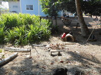 DSCN0277.JPG