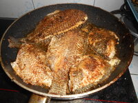 DSCN0165.JPG