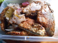 DSCN0300.JPG