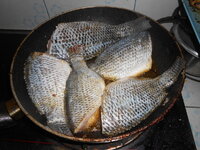 DSCN0163.JPG