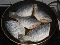 DSCN0161.JPG