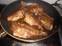 DSCN0162.JPG