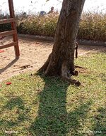 IMG-20250130-WA0002.jpg