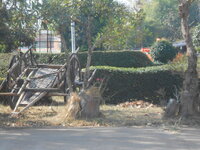 DSCN1136.JPG