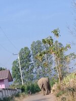 8cb1366e-927b-4a3c-9cad-098033254c71.jpeg
