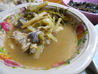 DSCN0512.JPG