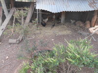 DSCN0581.JPG