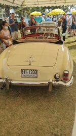 IMG_20250208_141427.jpg