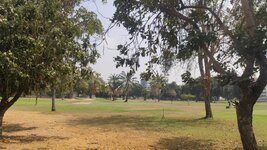 IMG_20250208_140744.jpg