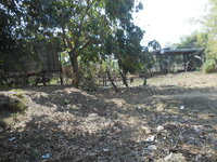 DSCN0648.JPG