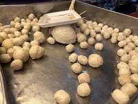 IMG_3131.jpeg