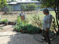 DSCN0683.JPG
