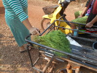DSCN0776.JPG