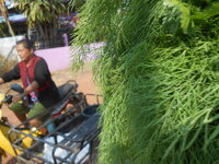 DSCN0779.JPG