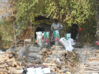 DSCN0784.JPG