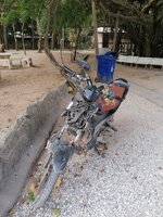 IMG_20250203_083753.jpg