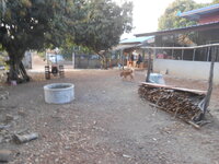 DSCN0913.JPG