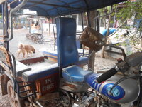 DSCN0911.JPG