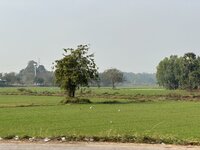 IMG_3228.jpeg