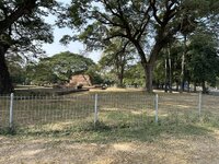 IMG_3264.jpeg