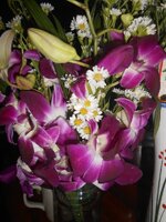 DSCN0332~2.JPG