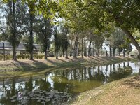 IMG_3319.jpeg