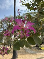 IMG_3326.jpeg
