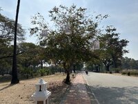 IMG_3325.jpeg