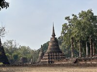 IMG_3329.jpeg