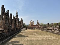 IMG_3343.jpeg