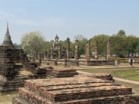 IMG_3350.jpeg