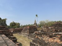 IMG_3369.jpeg