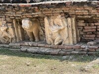 IMG_3379.jpeg