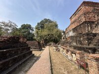 IMG_3391.jpeg