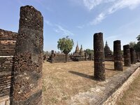 IMG_3393.jpeg