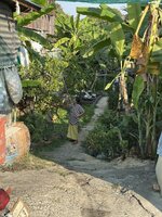 IMG_3437.jpeg