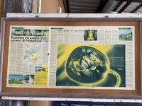 IMG_3555.jpeg