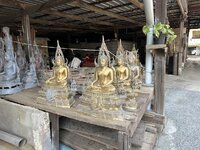 IMG_3471.jpeg
