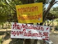 IMG_3775.jpeg