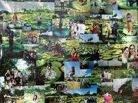 IMG_3754.jpeg
