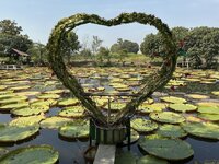 IMG_3755.jpeg