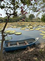 IMG_3750.jpeg