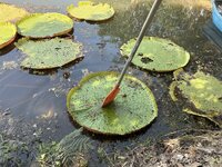 IMG_3753.jpeg