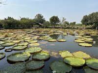 IMG_3751.jpeg