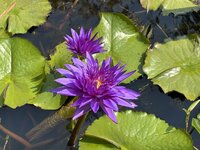 IMG_3820.jpeg