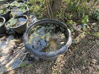 IMG_3805.jpeg