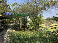 IMG_3771.jpeg