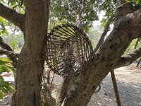 IMG_3819.jpeg