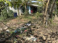 IMG_3807.jpeg