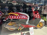 IMG_3956.jpeg